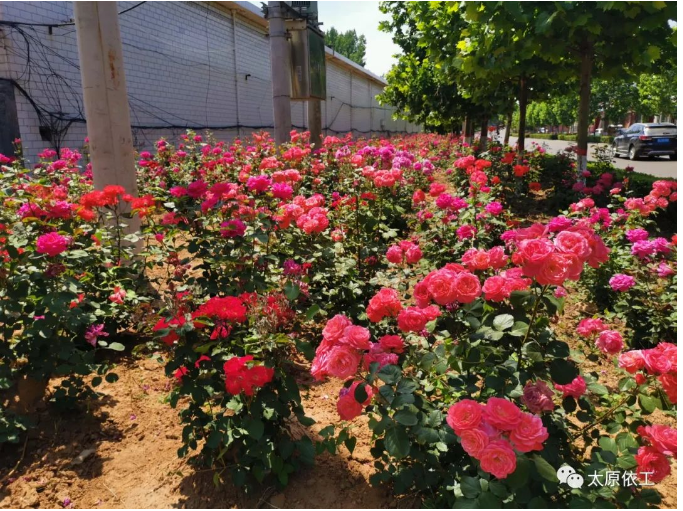 1660276565383901.png image.png